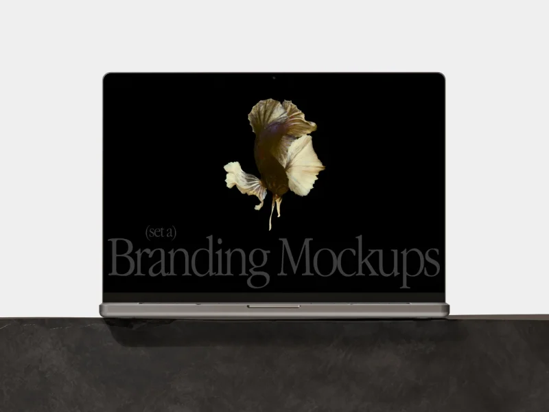 Branding Mockups Macbook Pro (3) 2