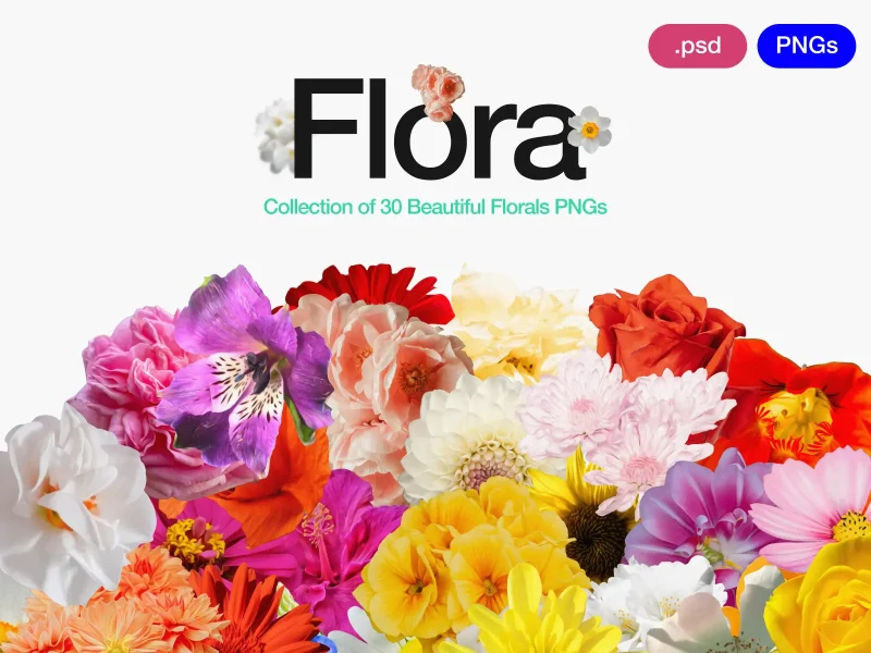 flora for arpit brandings studios 01